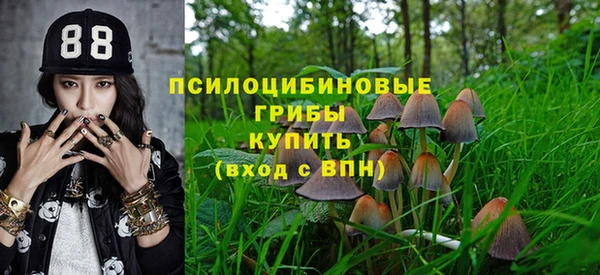 меф Кукмор