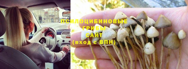 мдпв Костерёво